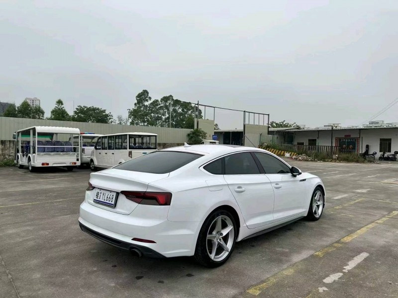 南寧18年奧迪A58