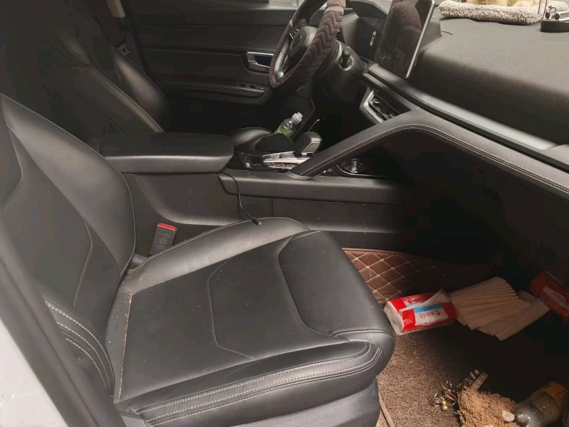 临沂20年比亚迪宋7