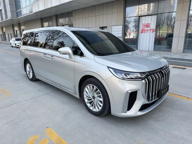濟寧22年嵐圖汽車夢想家3