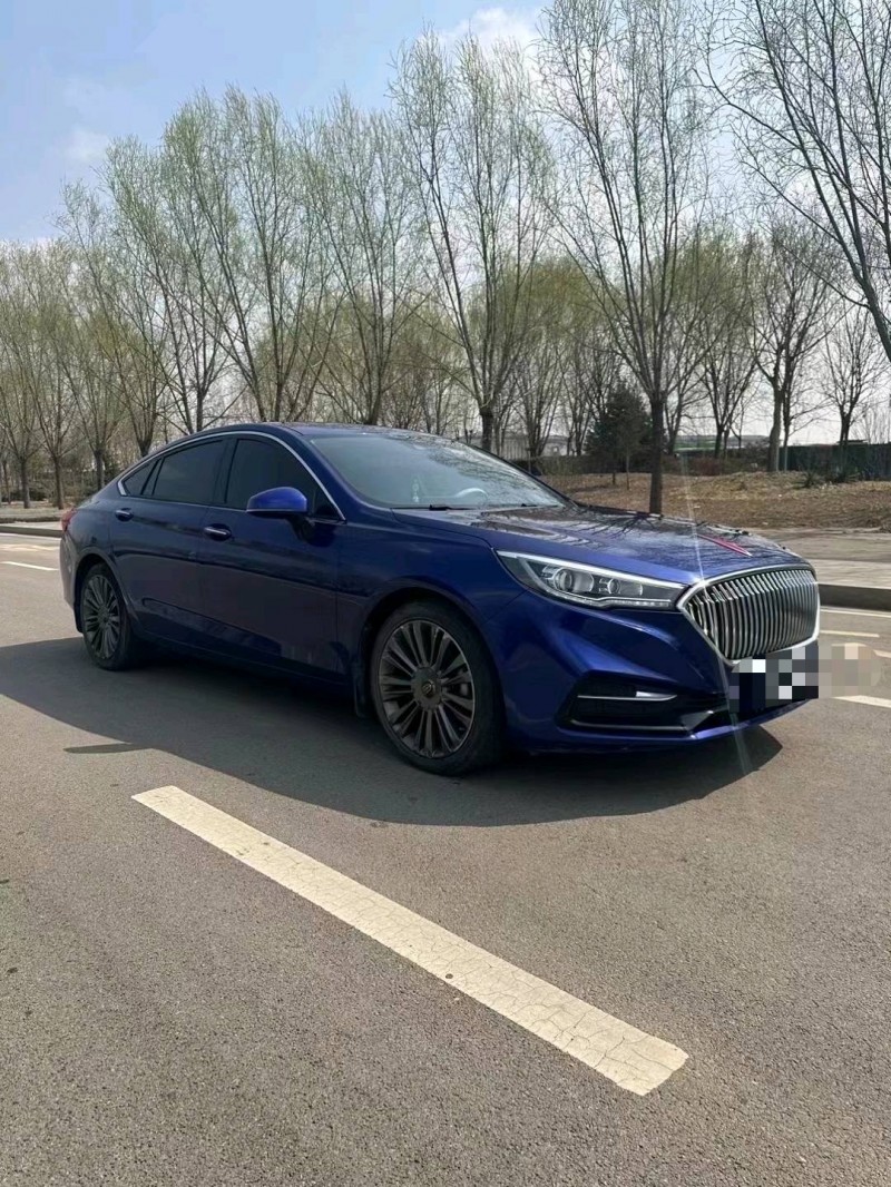 枣庄20年红旗H52