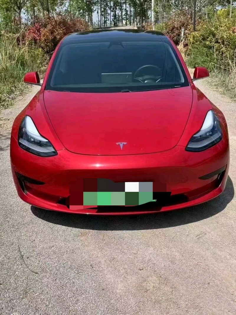 棗莊20年特斯拉MODEL 31