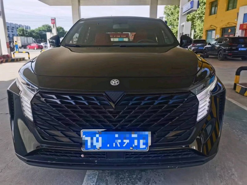 保定22年啟辰大V1