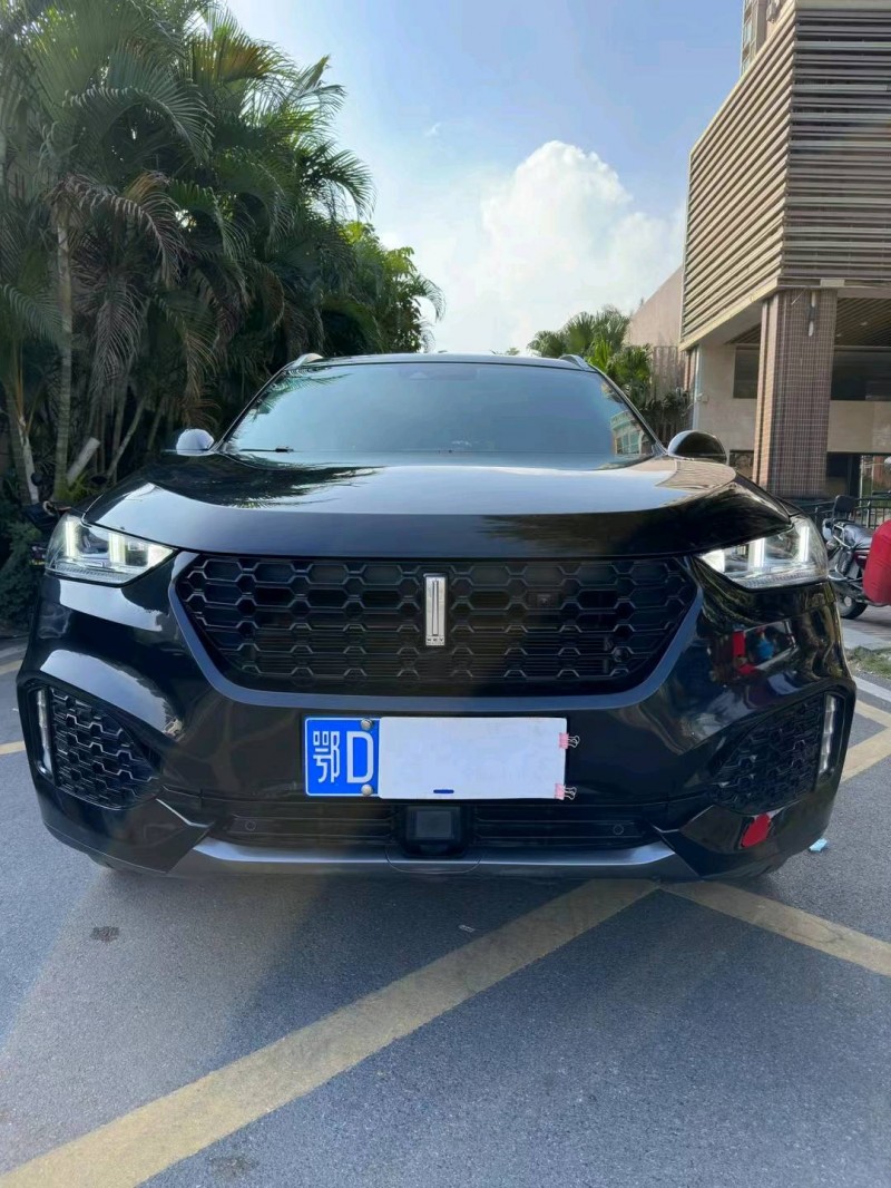 佛山19年长城汽车WEY VV61