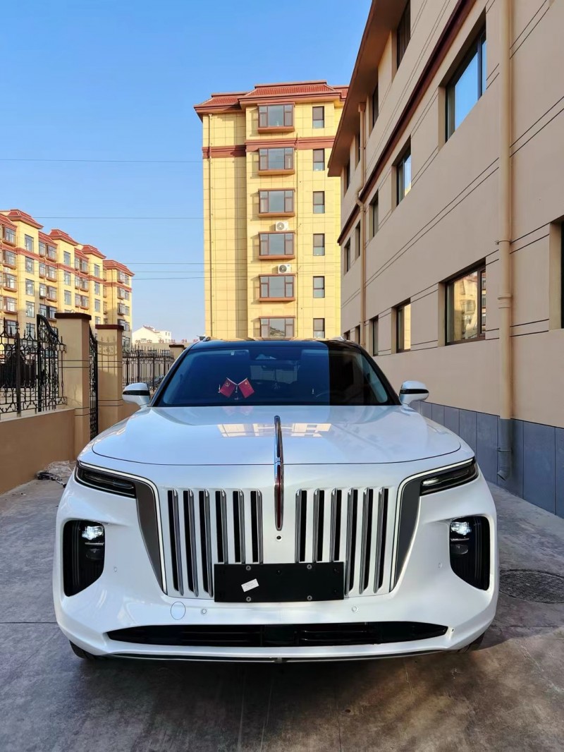 潍坊21年红旗E-HS91