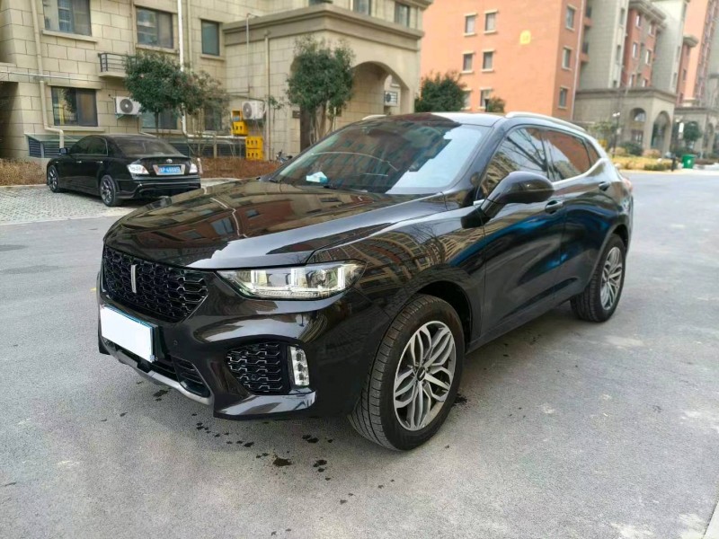 平頂山19年長城汽車WEY VV53