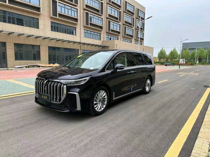 徐州24年嵐圖汽車夢想家3
