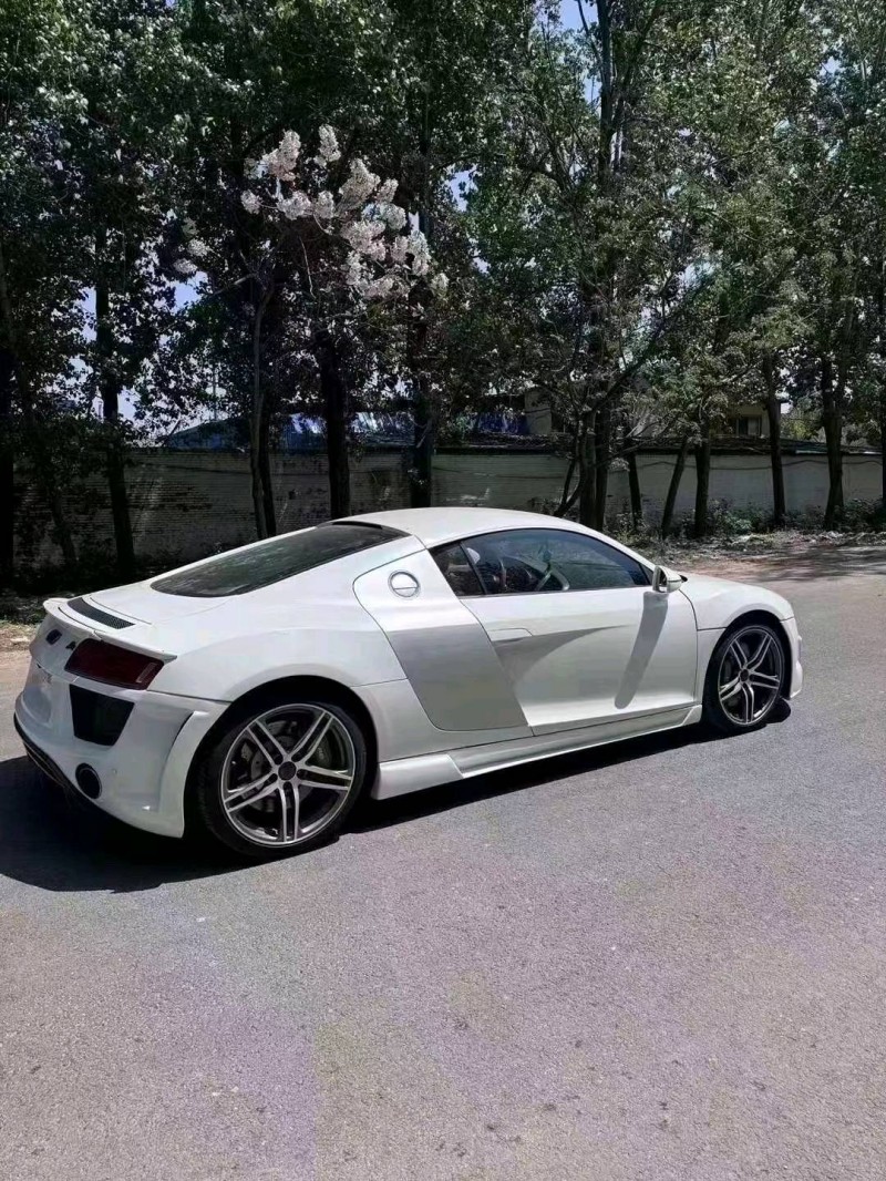 东营09年奥迪R88