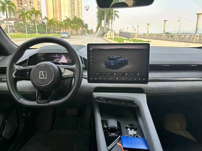 廣州22年極氪汽車0015