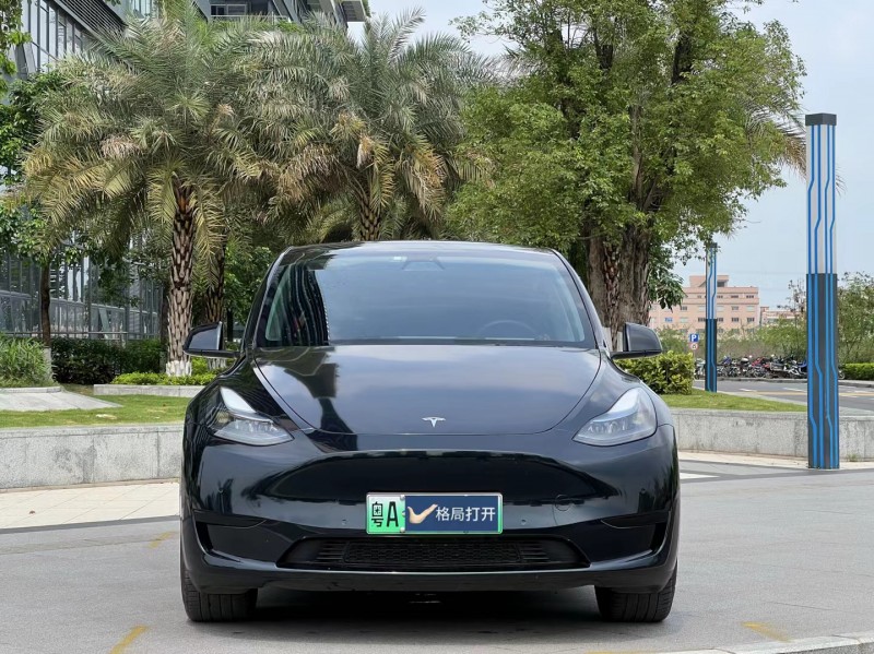 東莞23年特斯拉MODEL Y1