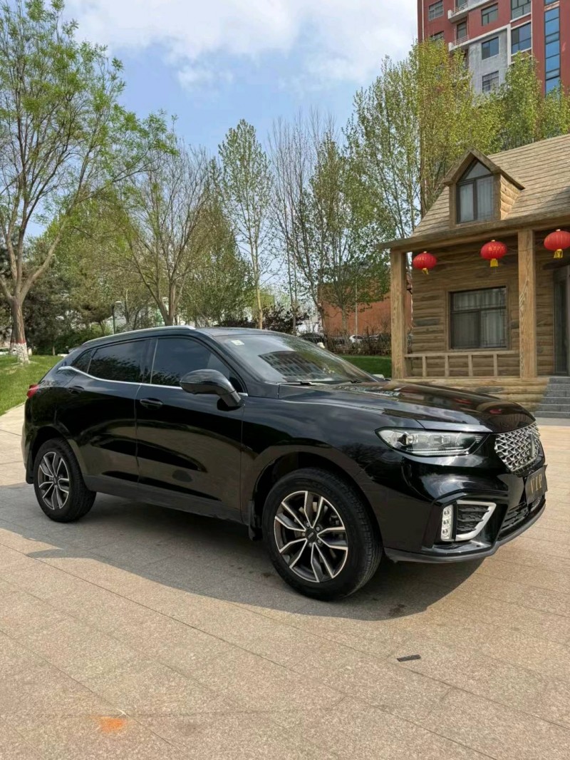 邢台21年长城汽车WEY VV53