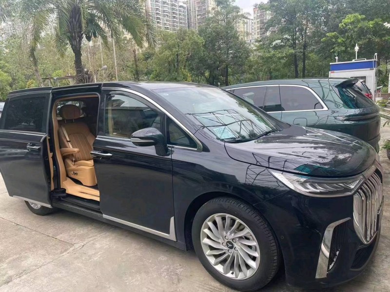 廣州24年嵐圖汽車夢想家1