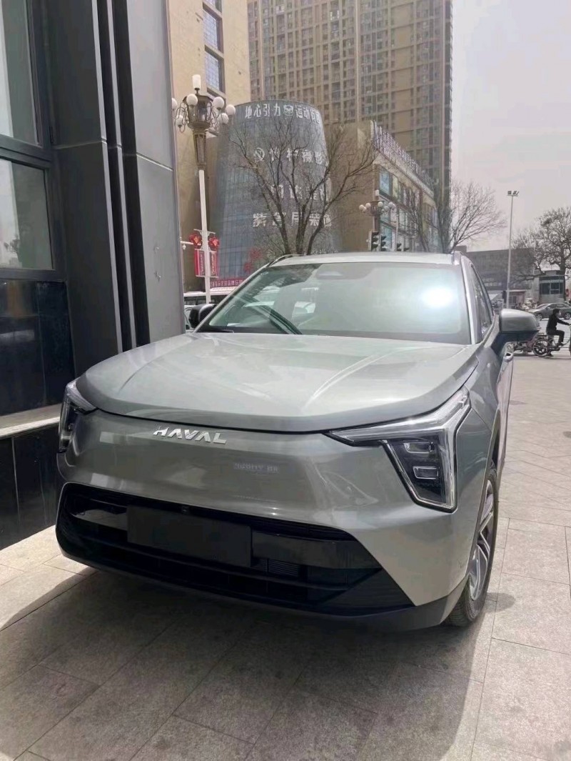 潍坊24年哈弗枭龙2