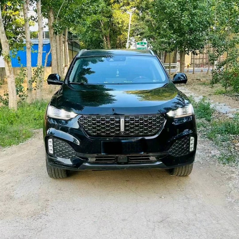 潍坊20年长城汽车WEY VV61