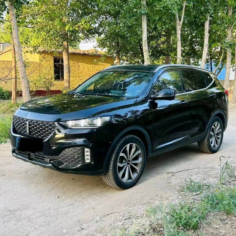 潍坊20年长城汽车WEY VV63