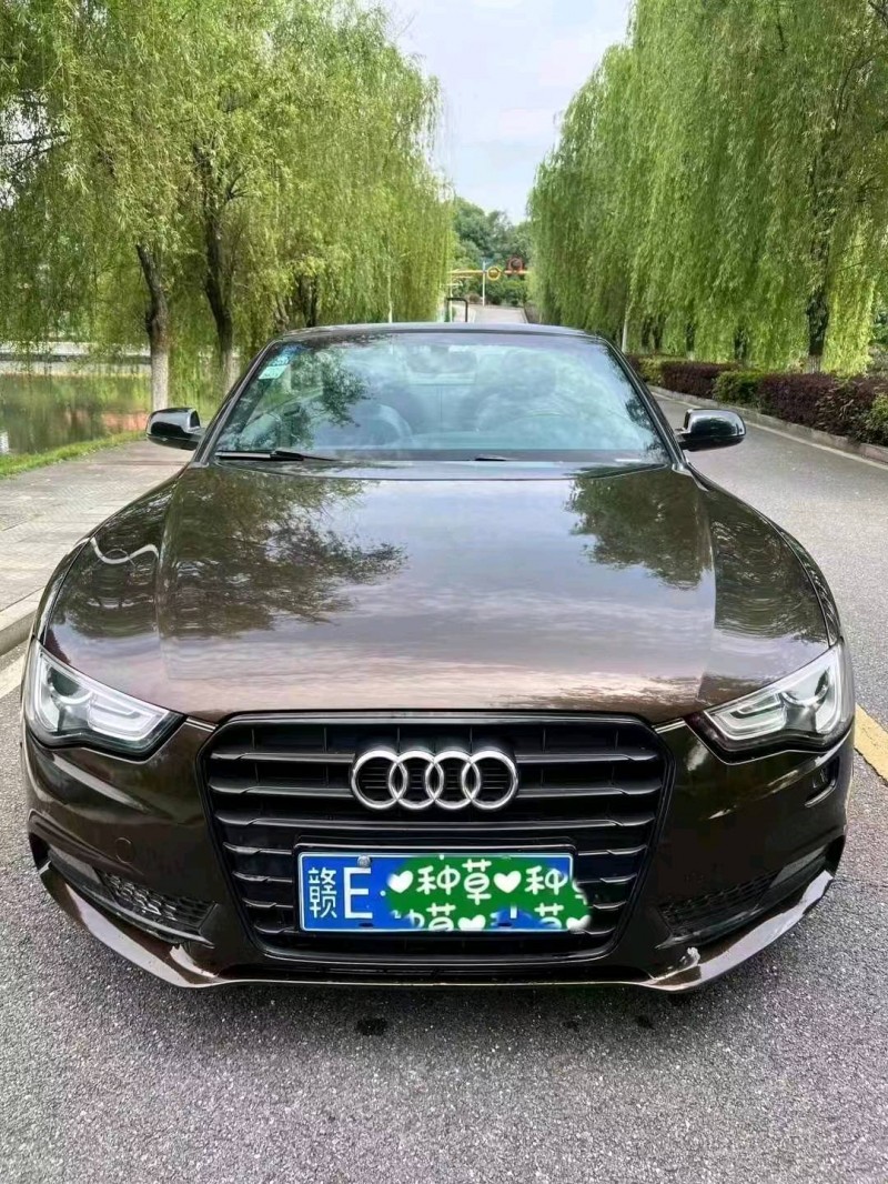 九江15年奧迪A51