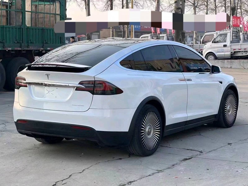 天津20年特斯拉MODEL X5