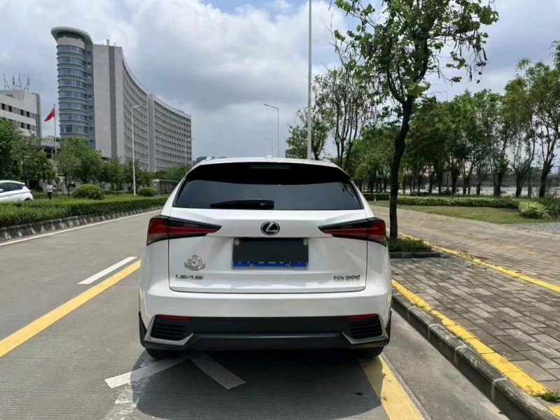 汕头18年雷克萨斯NX7