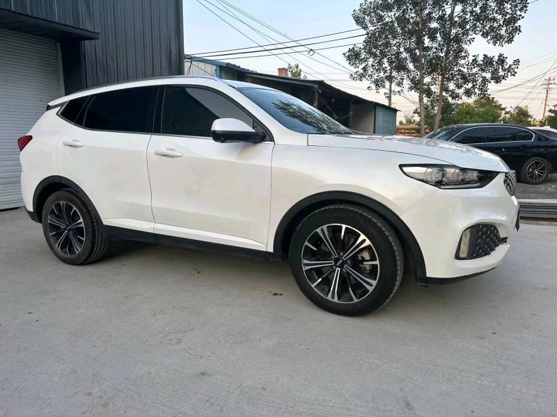 徐州19年长城汽车WEY VV63
