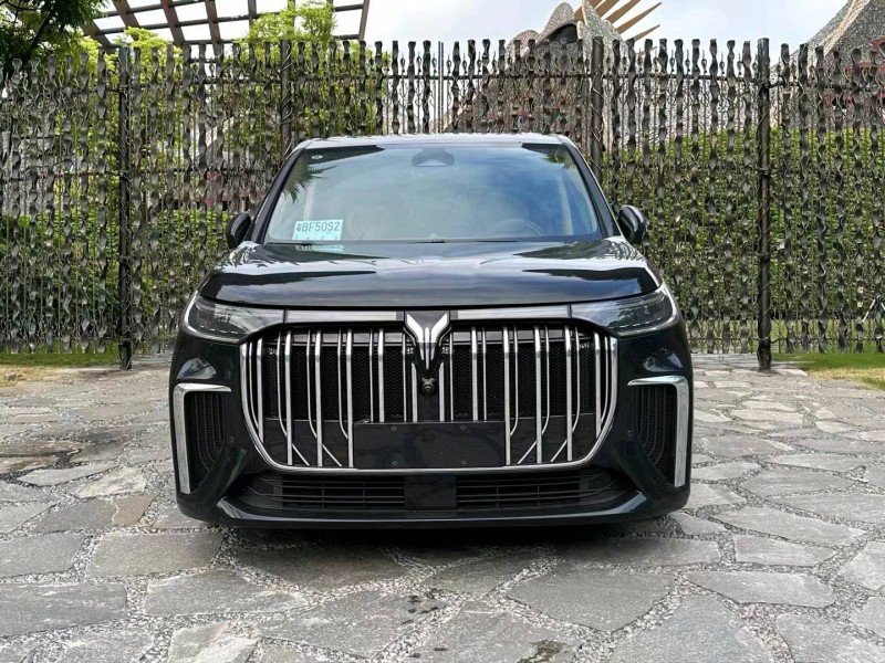 廣州24年嵐圖汽車夢想家1
