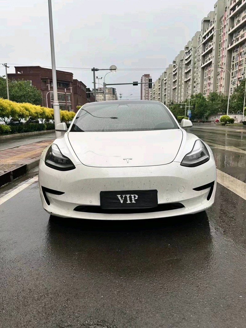 邢臺20年特斯拉MODEL 31
