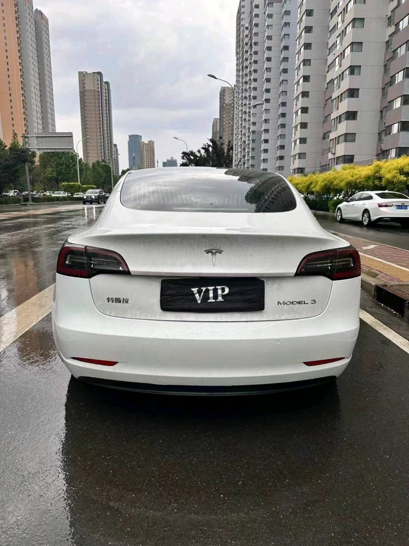 邢臺20年特斯拉MODEL 33
