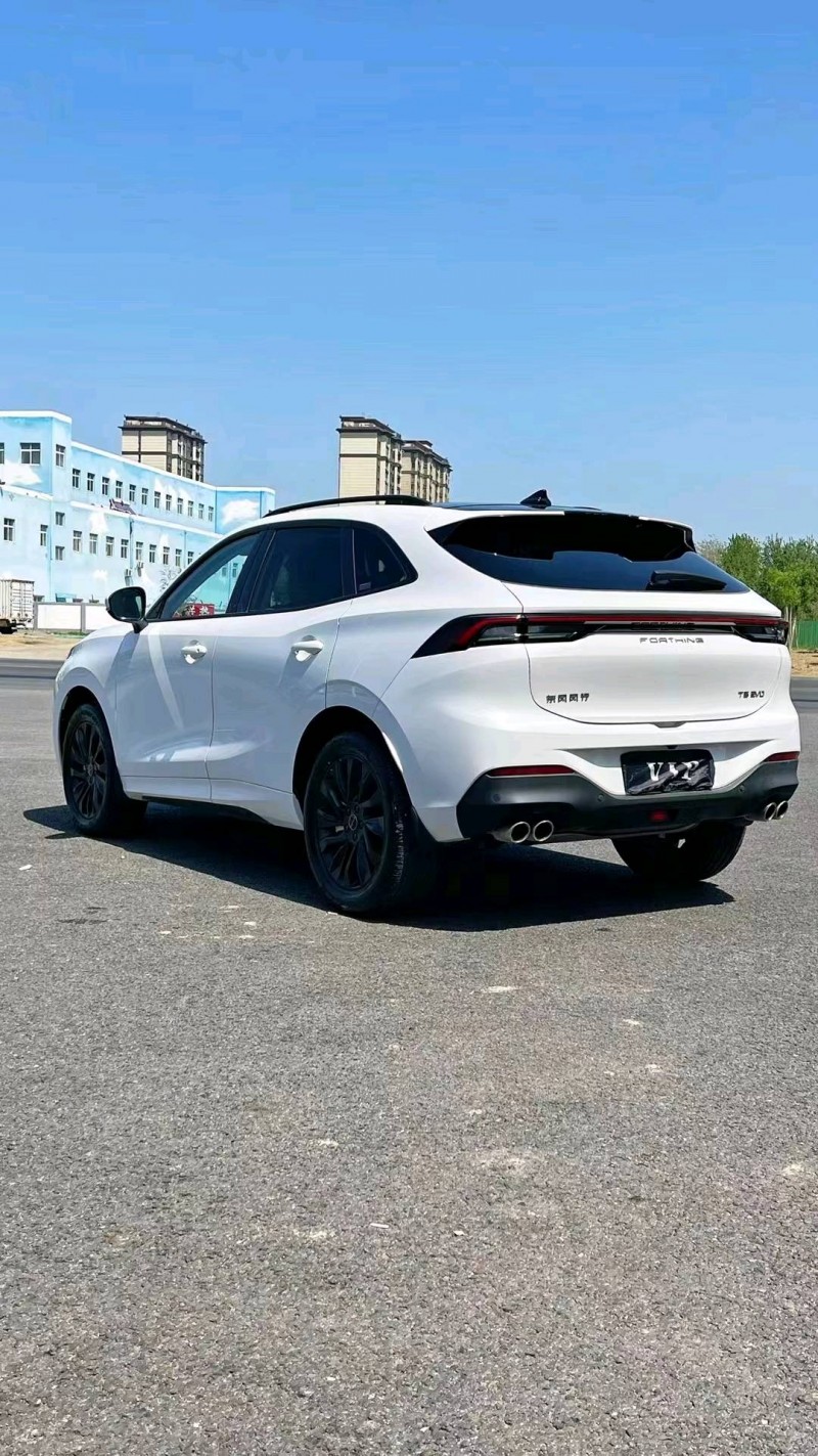 廊坊22年东风T54