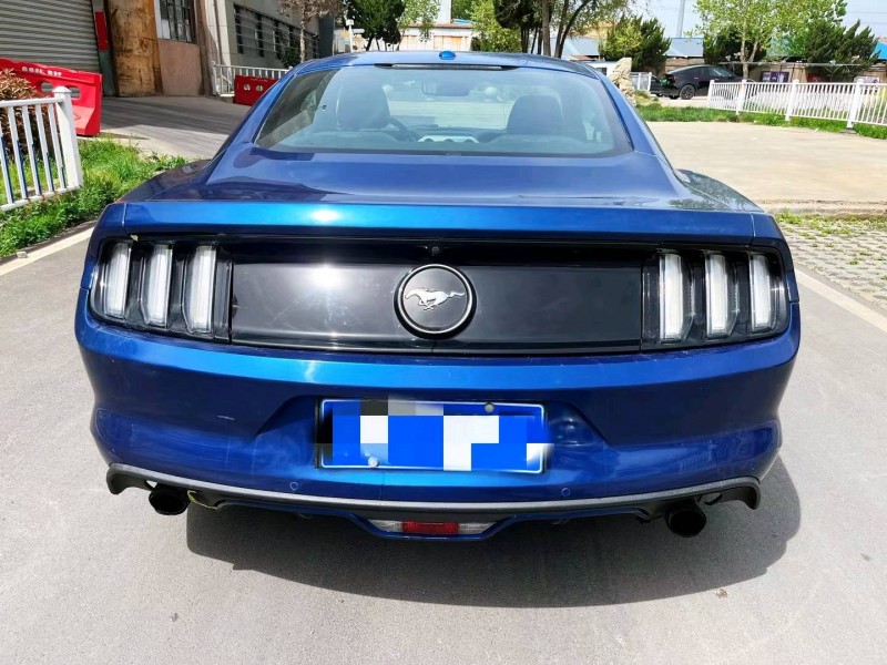 枣庄18年福特野马9