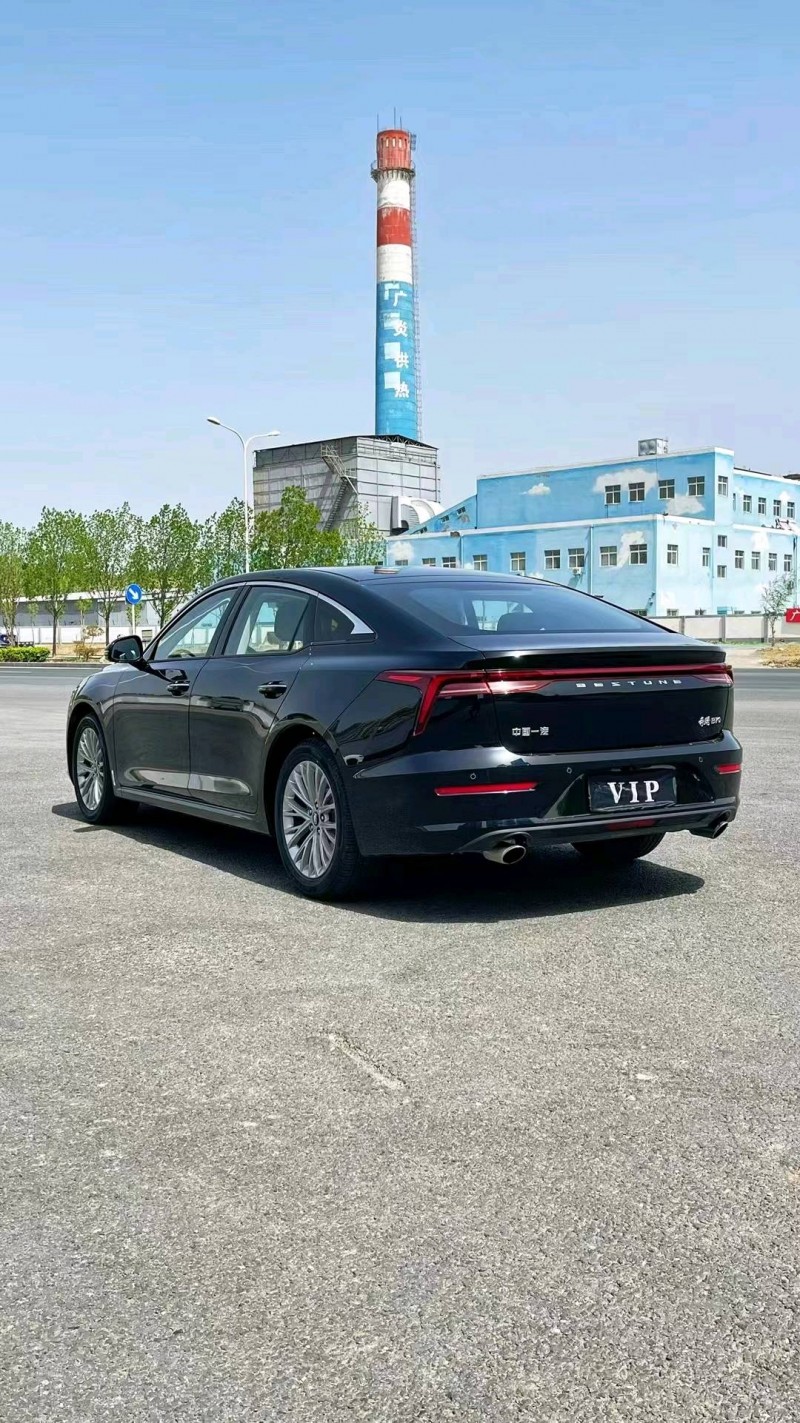 廊坊24年奔騰B704