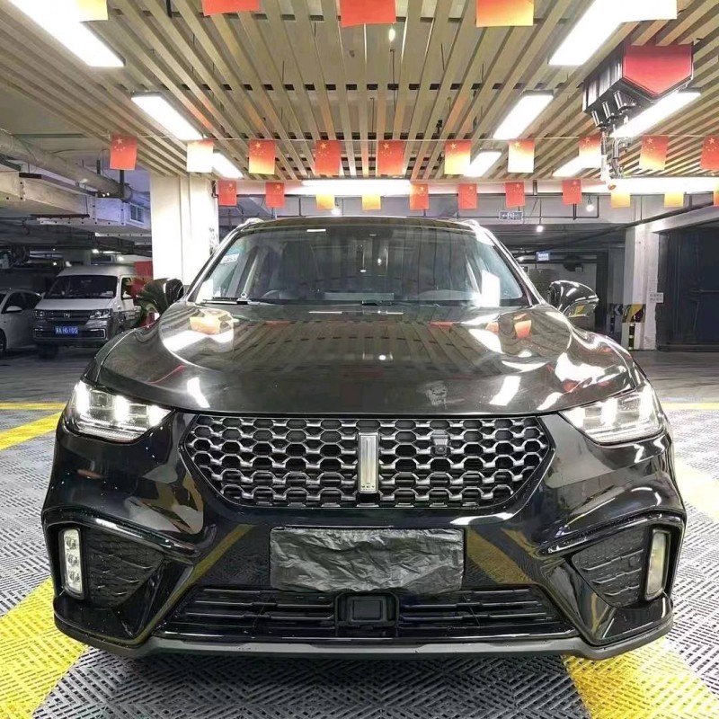 成都19年长城汽车WEY VV51