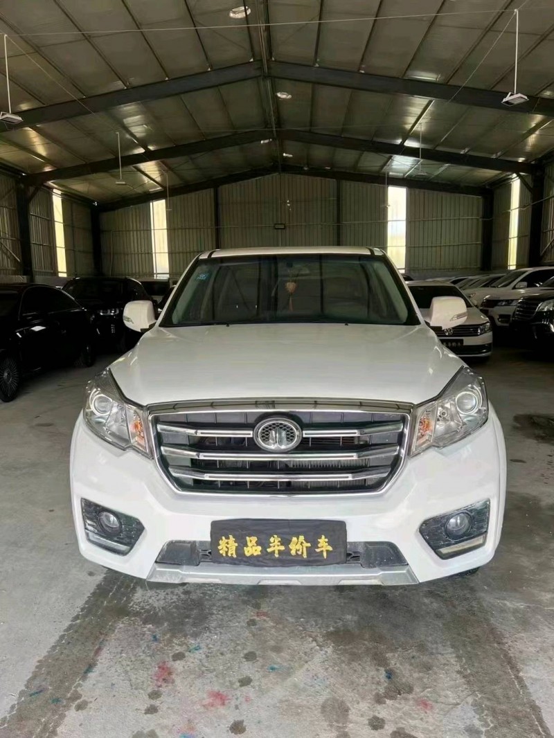 白銀18年長城汽車風駿61