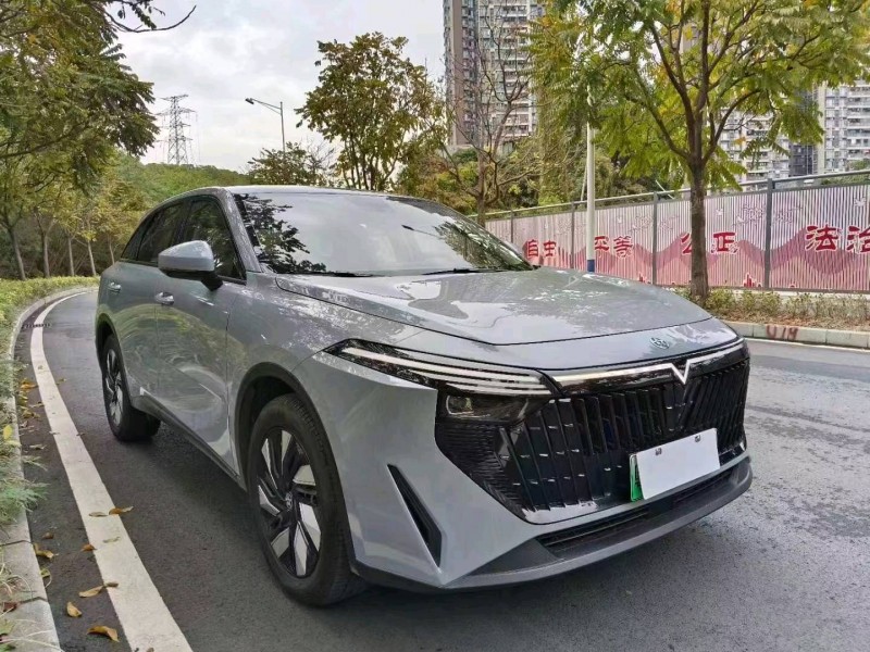 廣州23年啟辰大V3