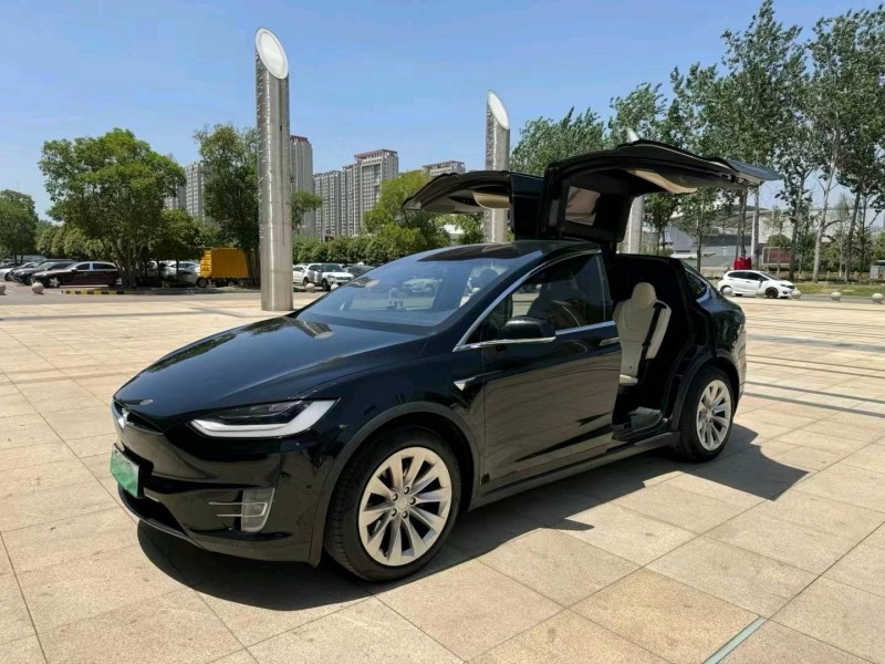 棗莊20年特斯拉MODEL X2