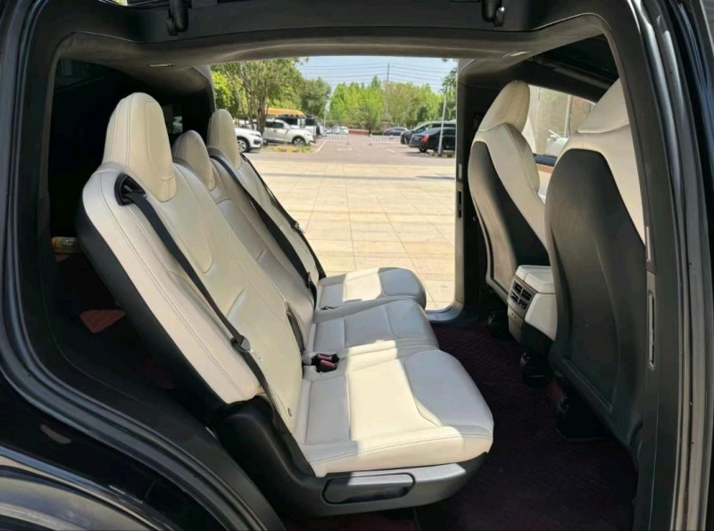 棗莊20年特斯拉MODEL X7
