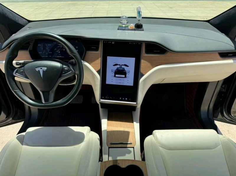 棗莊20年特斯拉MODEL X9