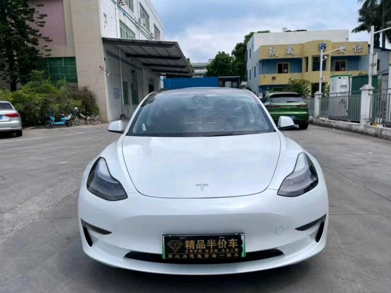 東莞22年特斯拉MODEL 31