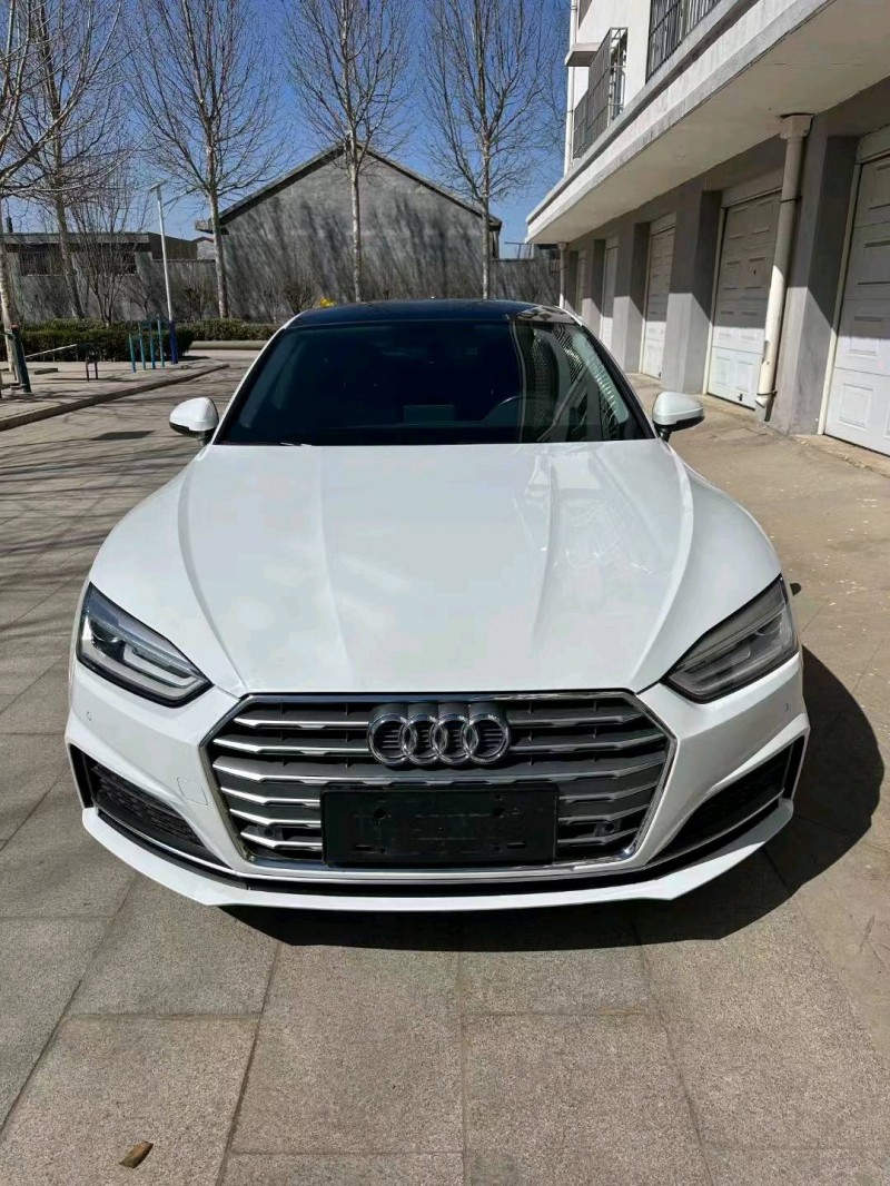 济南19年奥迪A51