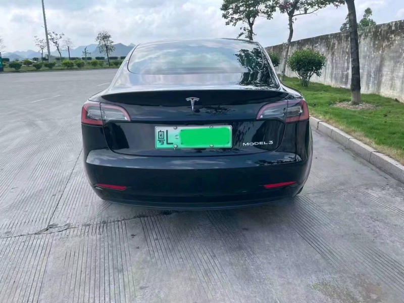 汕頭21年特斯拉MODEL 34