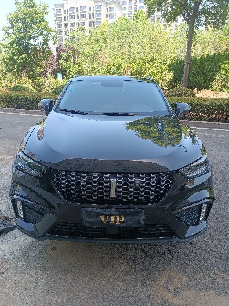 济宁19年长城汽车WEY VV51
