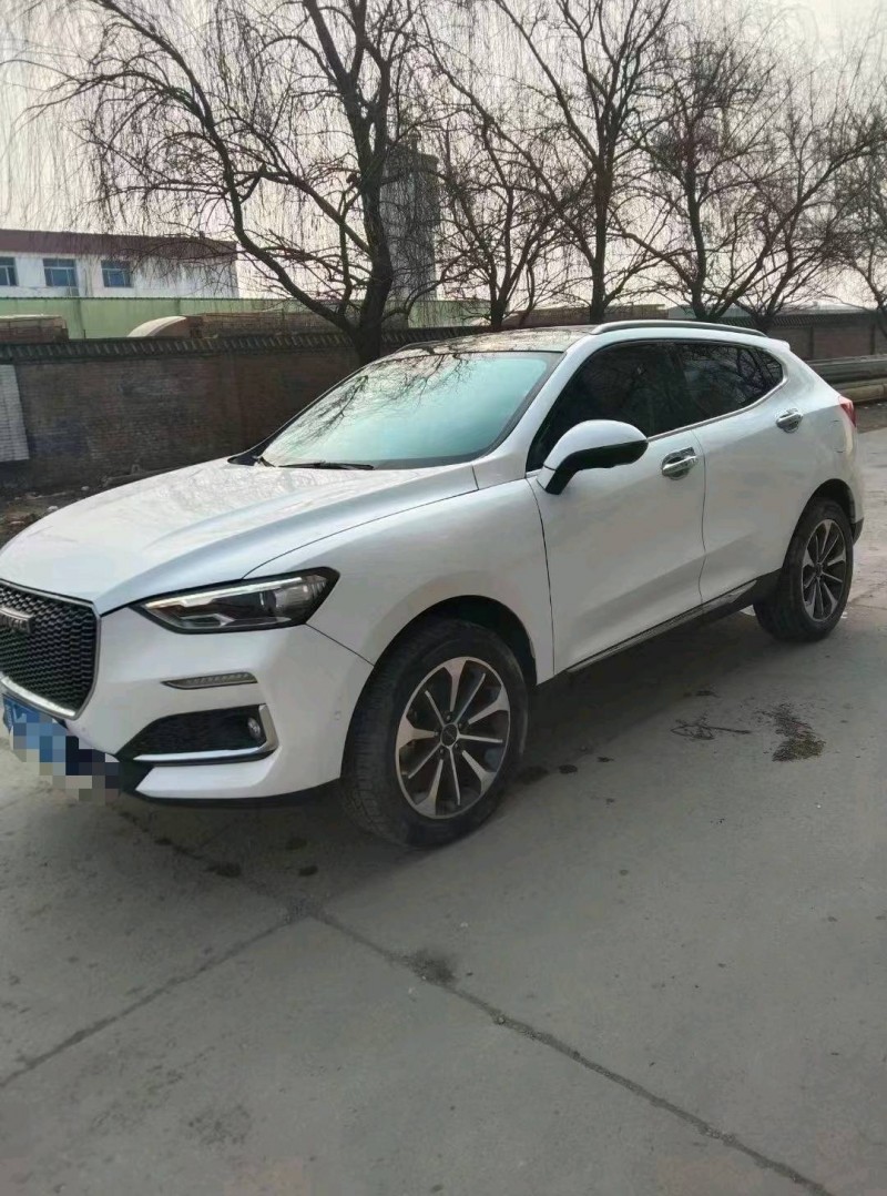 保定20年哈弗F53