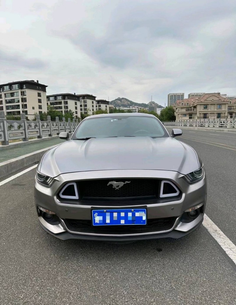 枣庄18年福特野马1