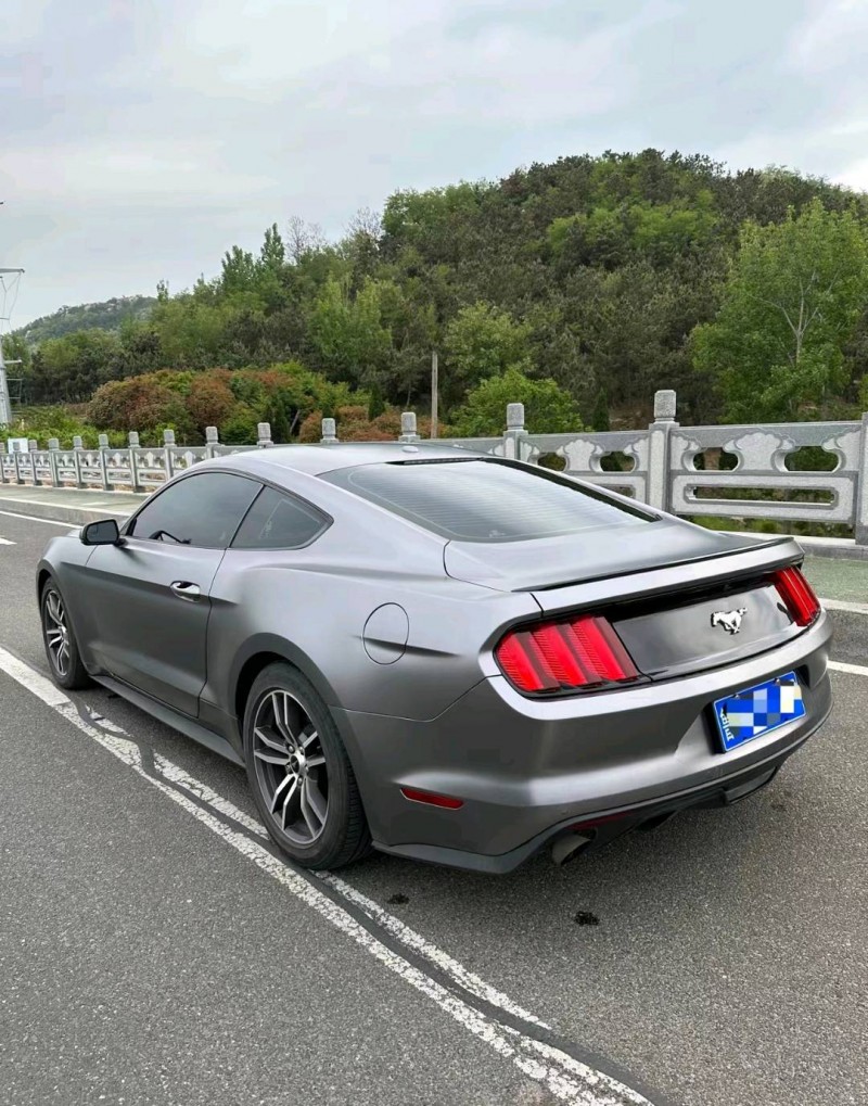 枣庄18年福特野马2