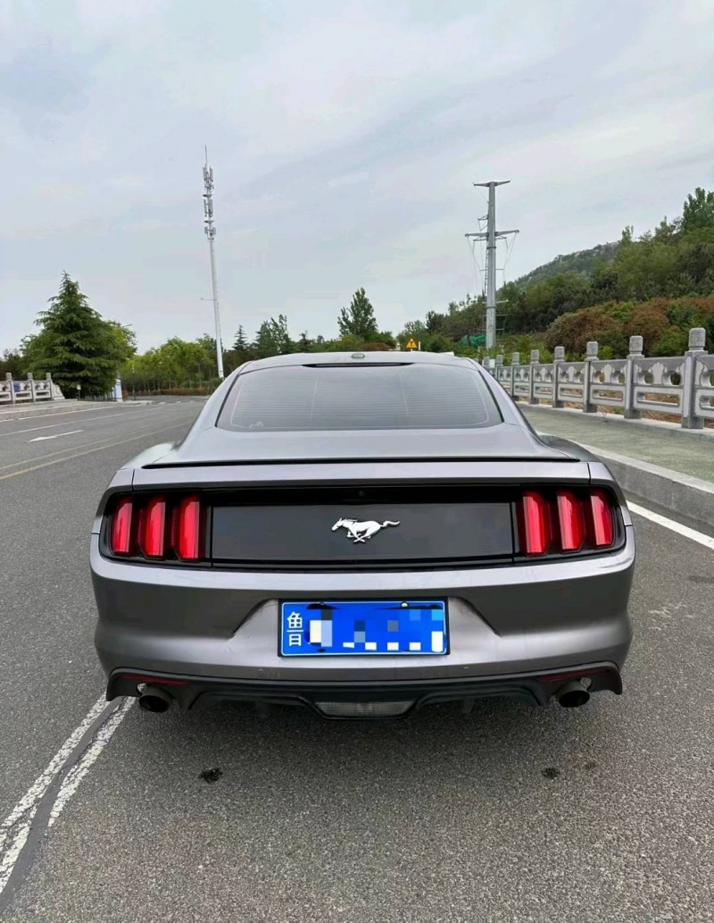 枣庄18年福特野马5