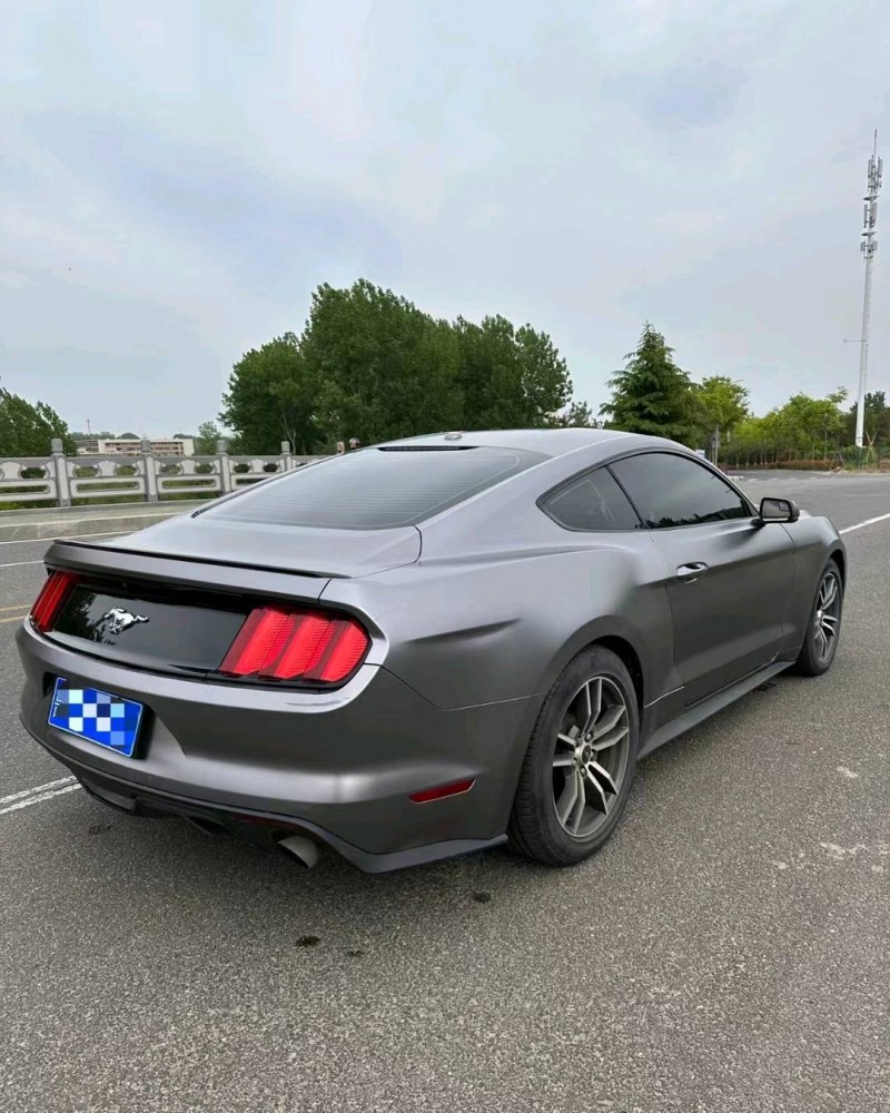 枣庄18年福特野马6