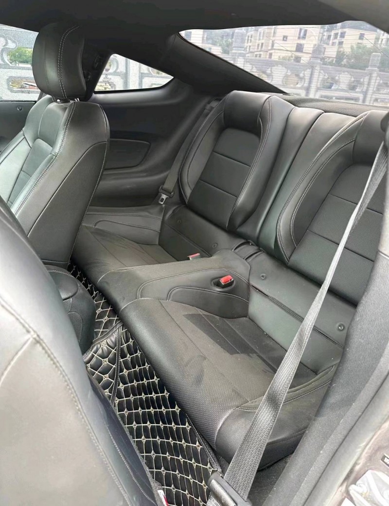 枣庄18年福特野马9