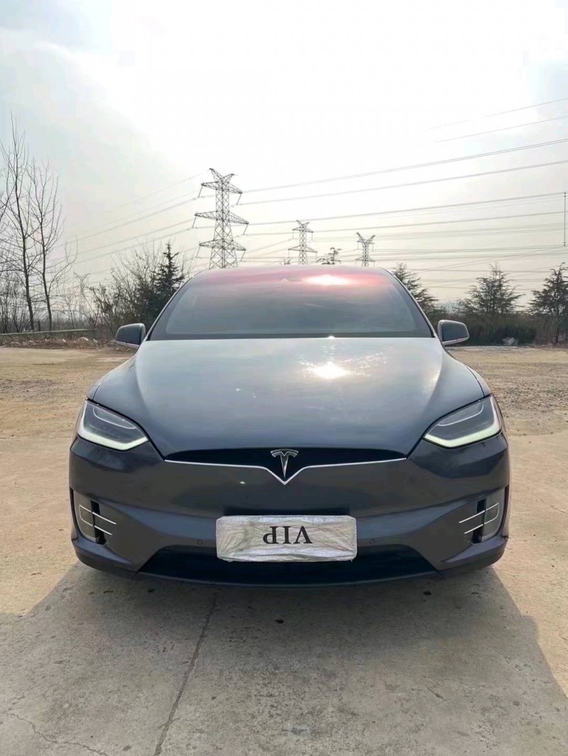 棗莊17年特斯拉MODEL X1