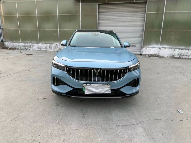徐州22年嵐圖汽車FREE1