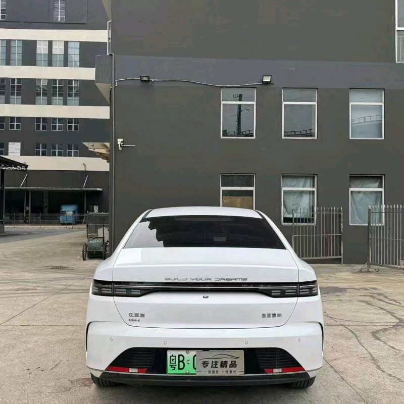 广州23年比亚迪驱逐舰9