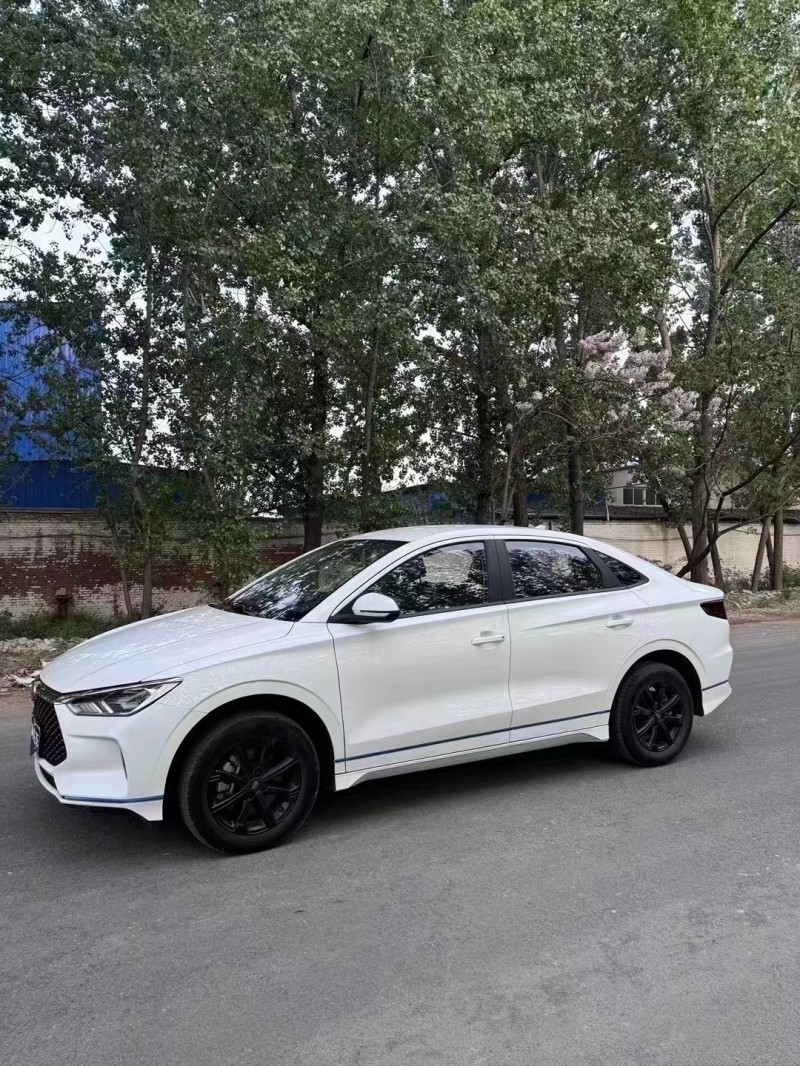 菏泽22年比亚迪E33