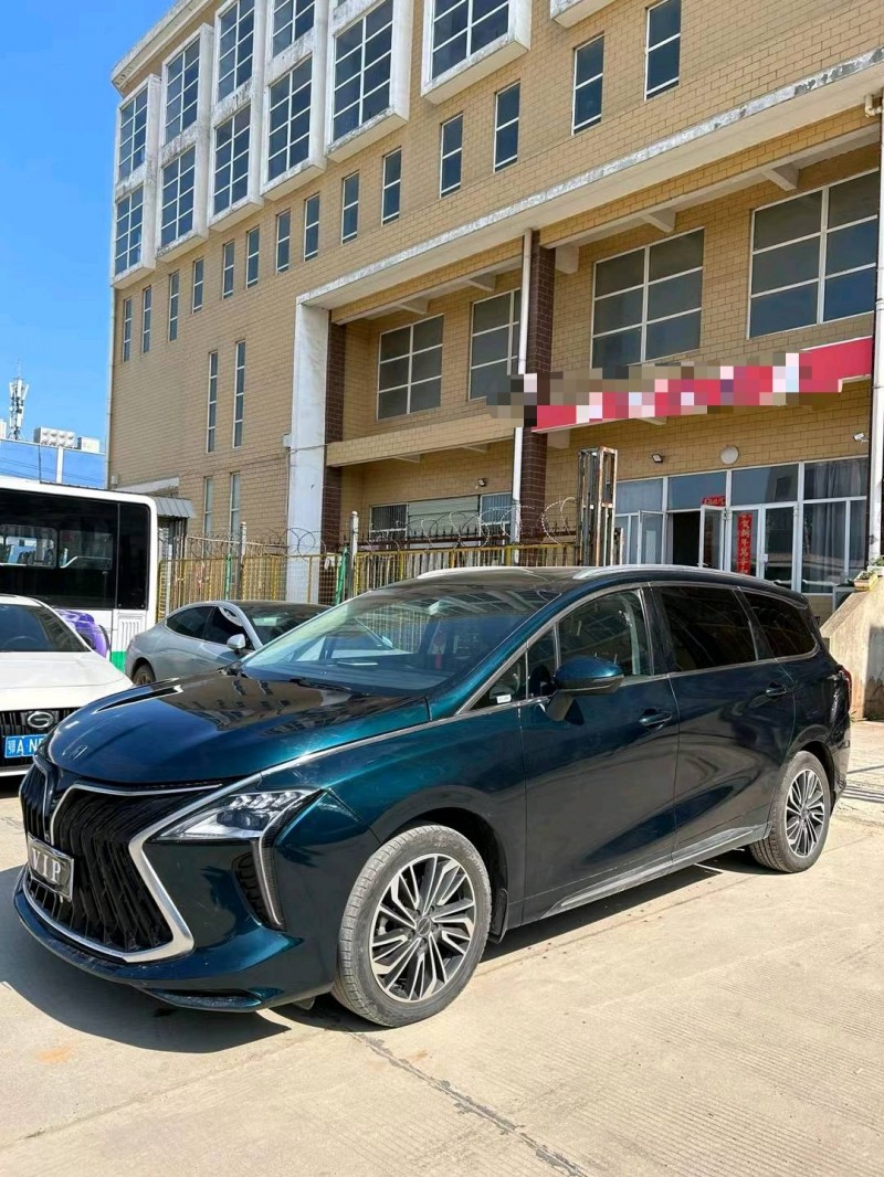 武汉22年东风风行游艇2