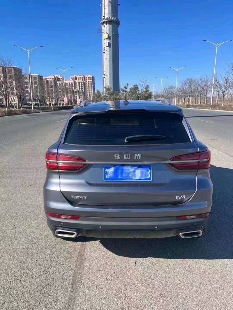 东营20年SWM斯威汽车G014